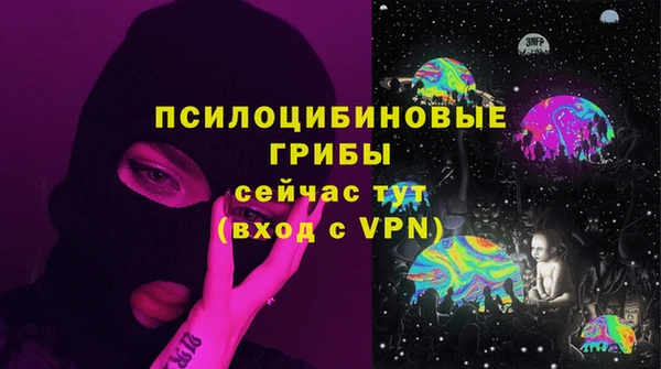 ешки Алзамай